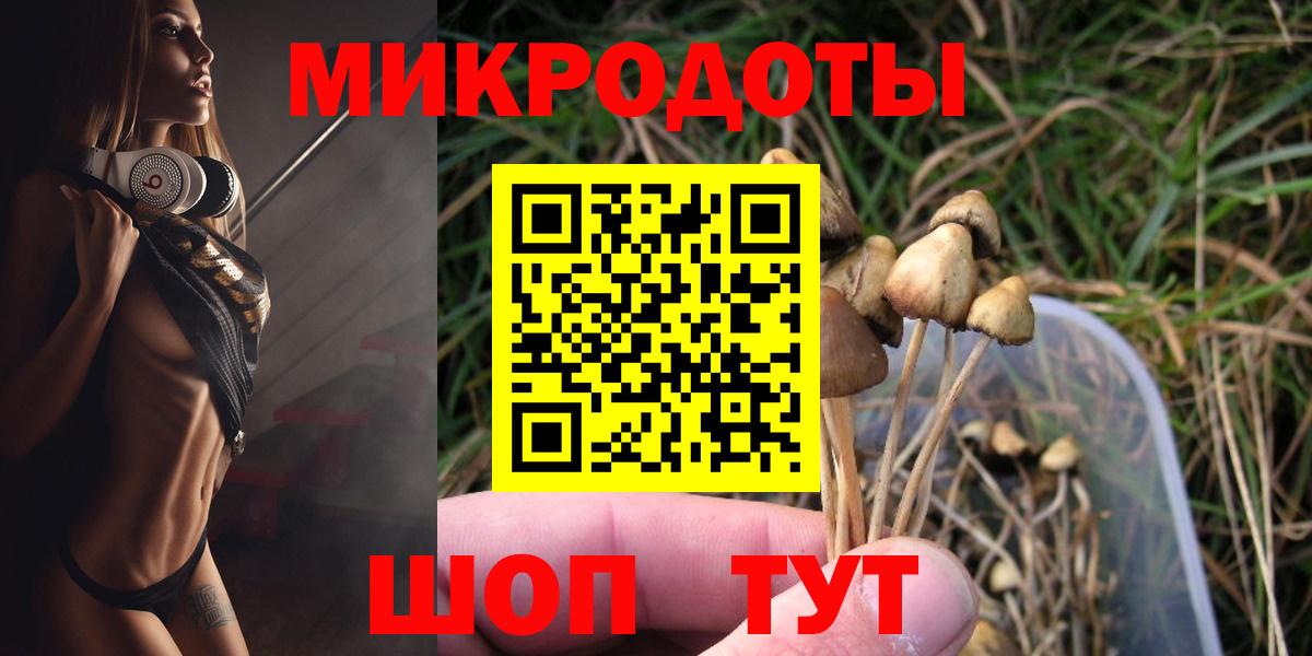 Псилоцибиновые грибы Cubensis Рязань