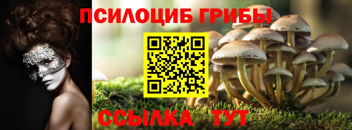 Рязань  Галлюциногенные грибы Cubensis  Галлюциногенные грибы Psilocybe  купить  сайты  Вход с VPN 